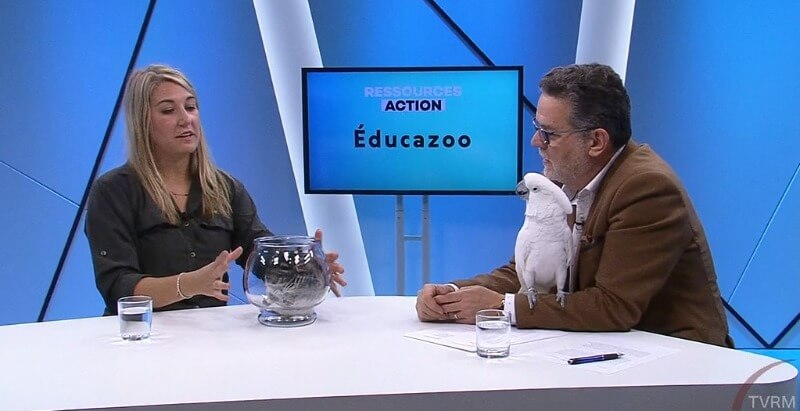 Ressource Action Ressource Action