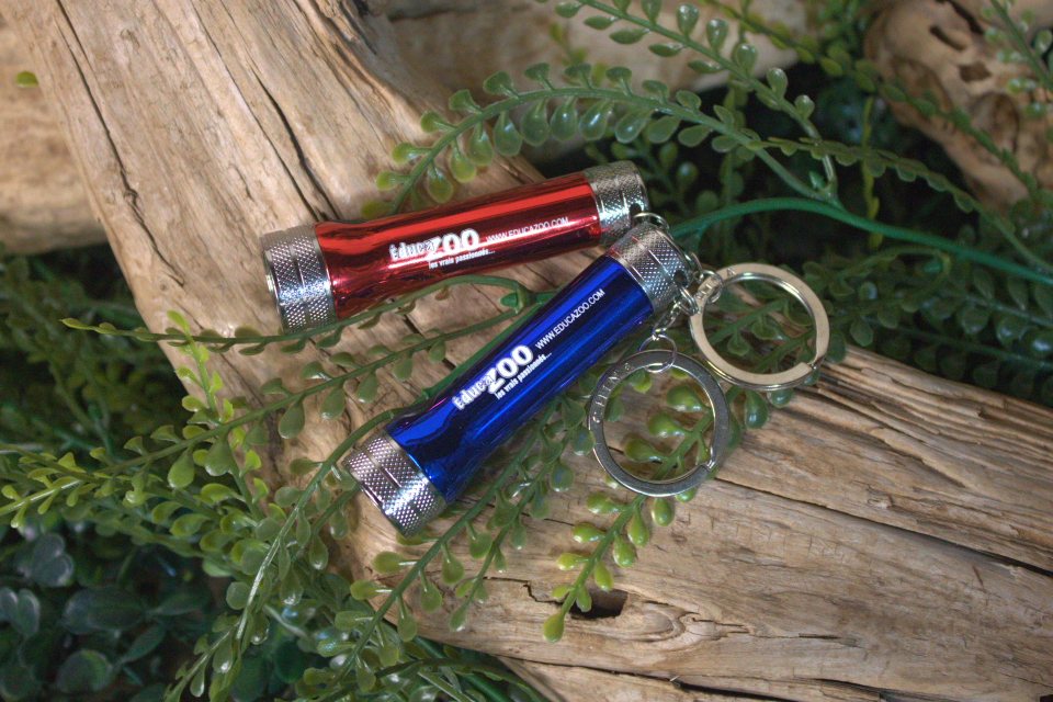 Flashlight with key chain - Lampe de poche - Éducazoo
