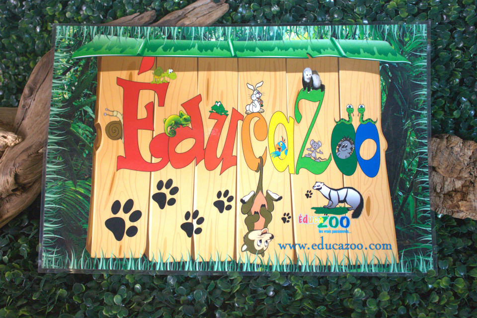 Plastic placemats - Napperon - Éducazoo