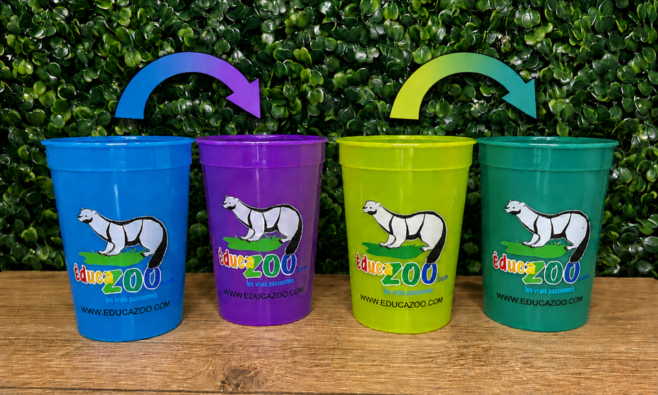 Verre qui change de couleur - Verre - Éducazoo