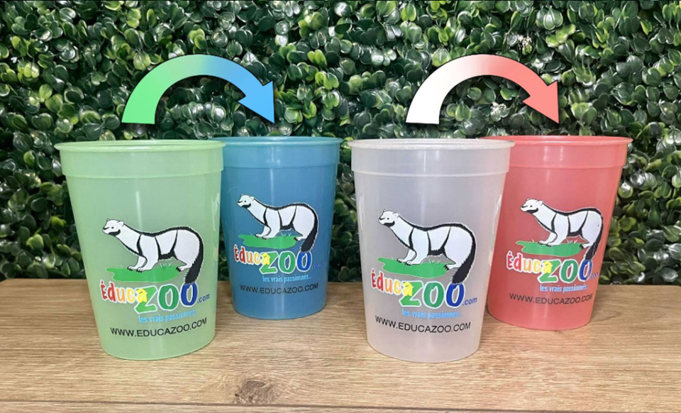 Verre qui change de couleur (Vert N/D) - Verre qui changent de couleur - Éducazoo