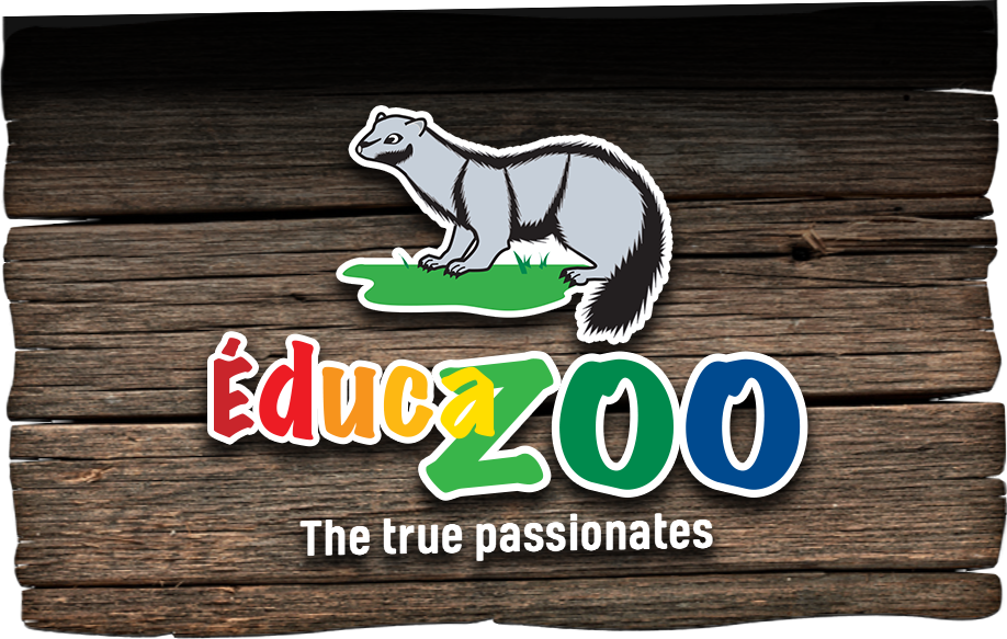 Logo Éducazoo