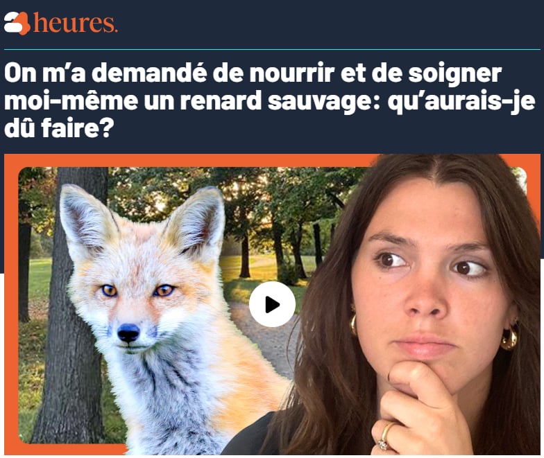 Journal 24h (QUB)