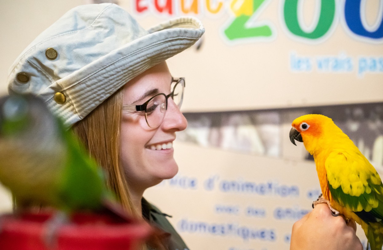 Blogue - Article scientifique - Animal de compagnie exotique : lequel choisir ?