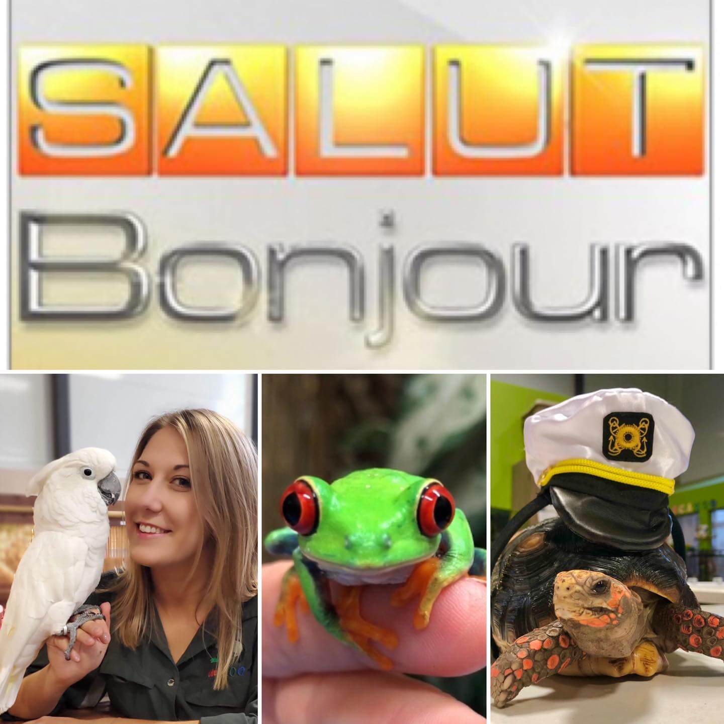 Salut Bonjour - La relâche #2