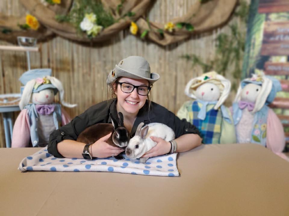 Blogue - Article scientifique - Pâques dans le monde : traditions - Animaux pâques Educazoo