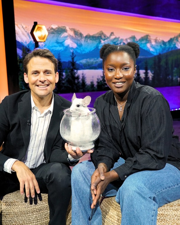 Sarahmee - Chinchilla