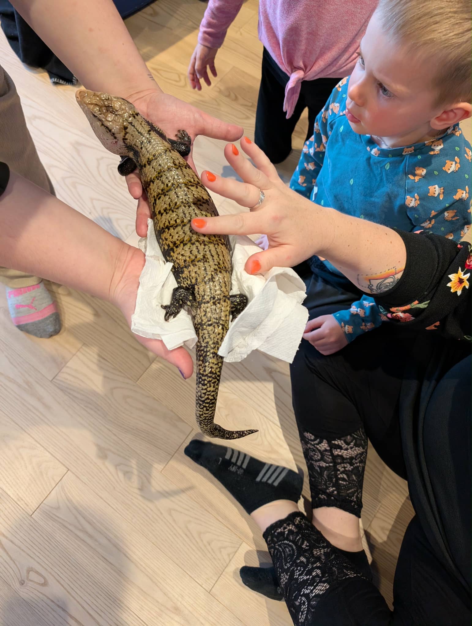 Anne-Marie L'Heureux