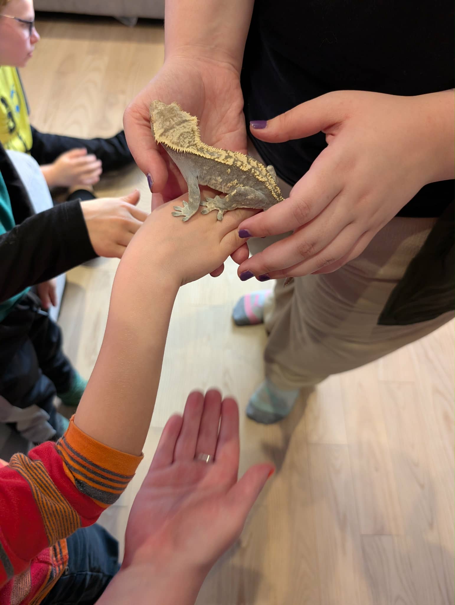 Anne-Marie L'Heureux