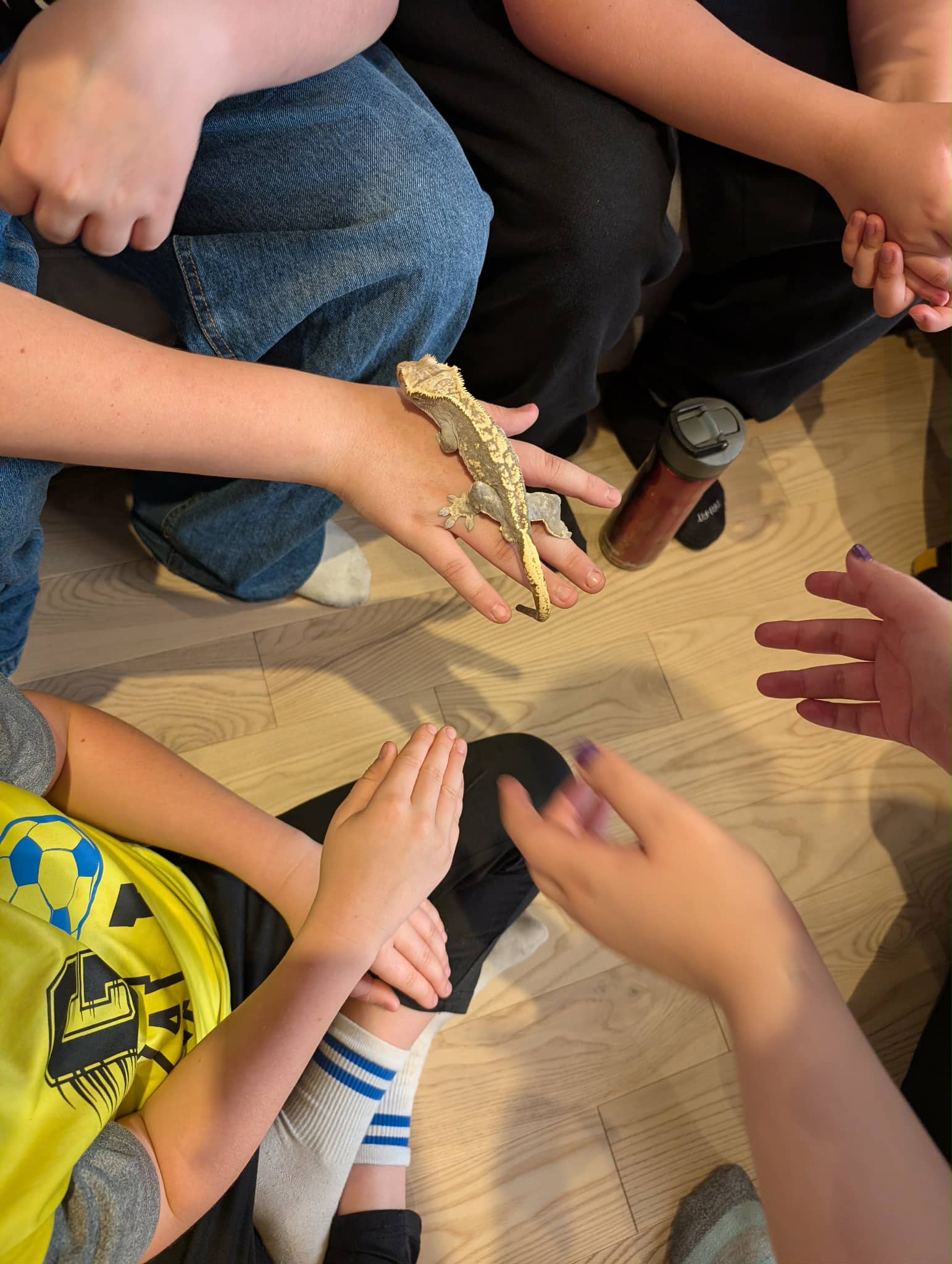 Anne-Marie L'Heureux