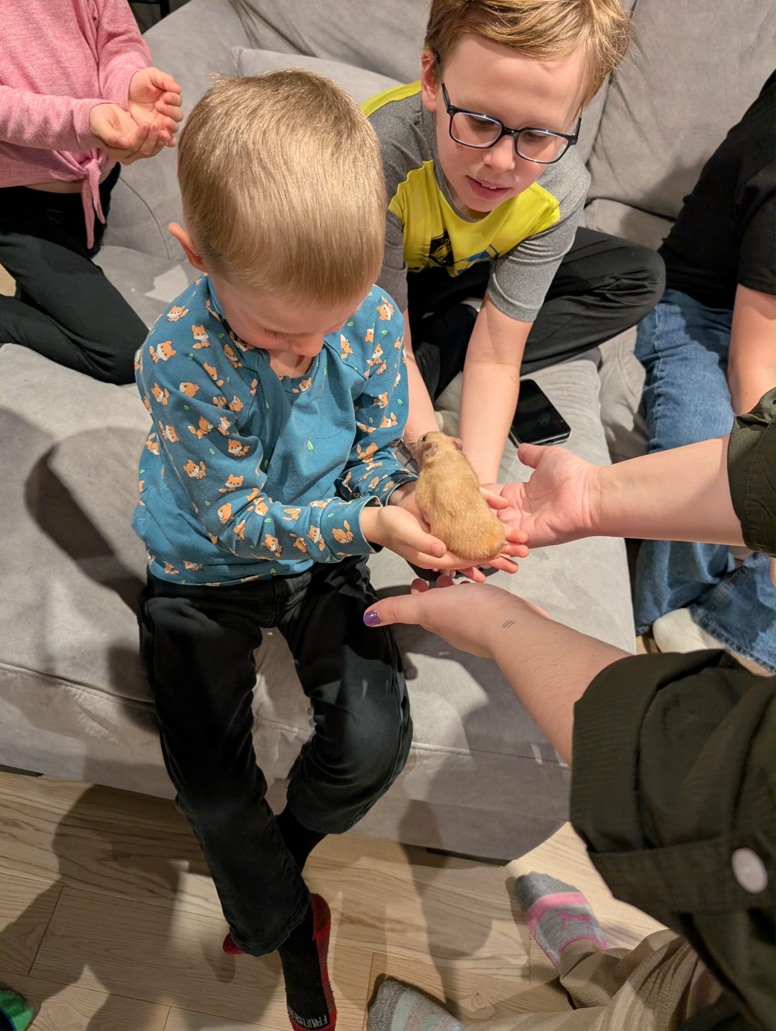 Anne-Marie L'Heureux