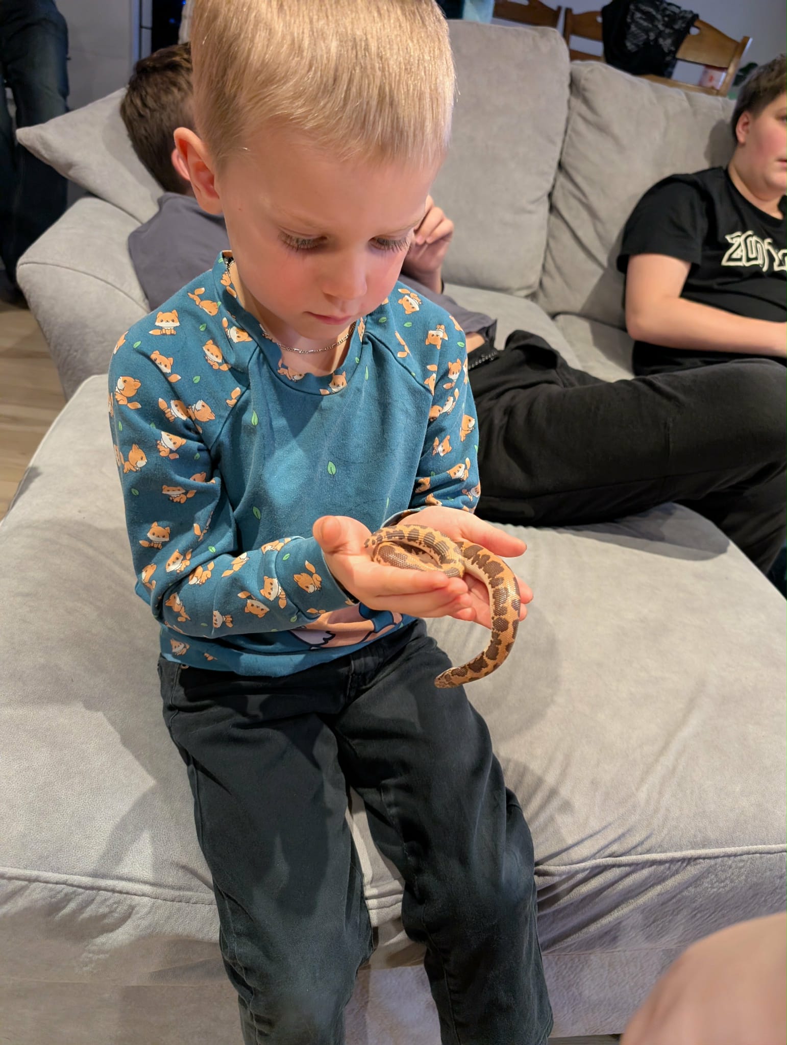 Anne-Marie L'Heureux