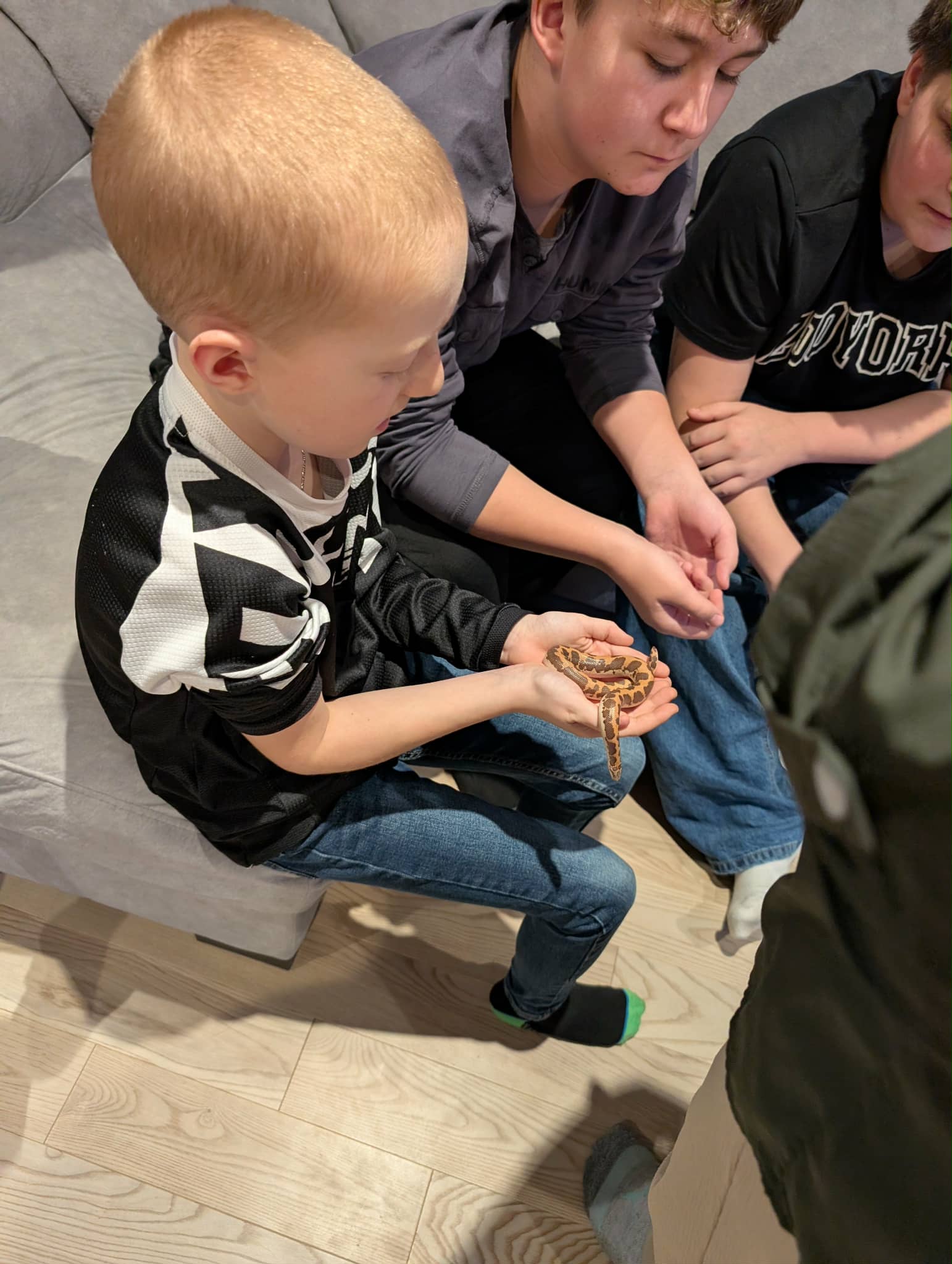 Anne-Marie L'Heureux