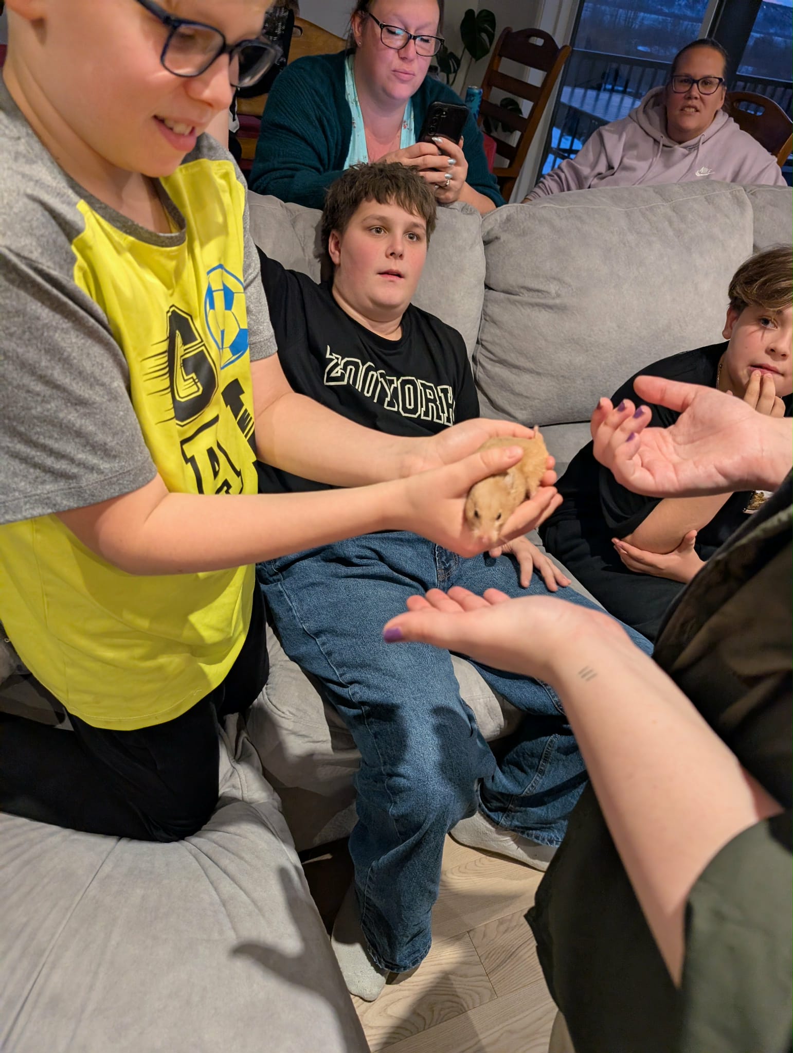 Anne-Marie L'Heureux