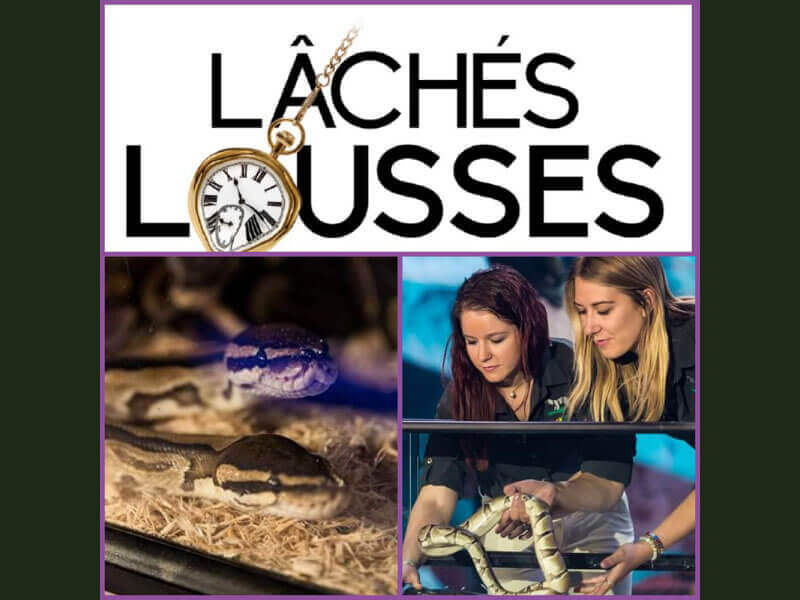 Lâchés lousses : Saison 02