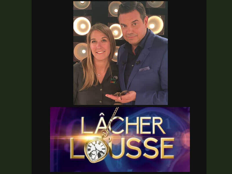 Lâchés Lousses : Saison 01