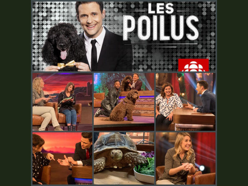 Les Poilus Saison 02 19 05 2019 Blogue ducazoo Les Poilus Saison 02 19 05 2019 Blogue ducazoo